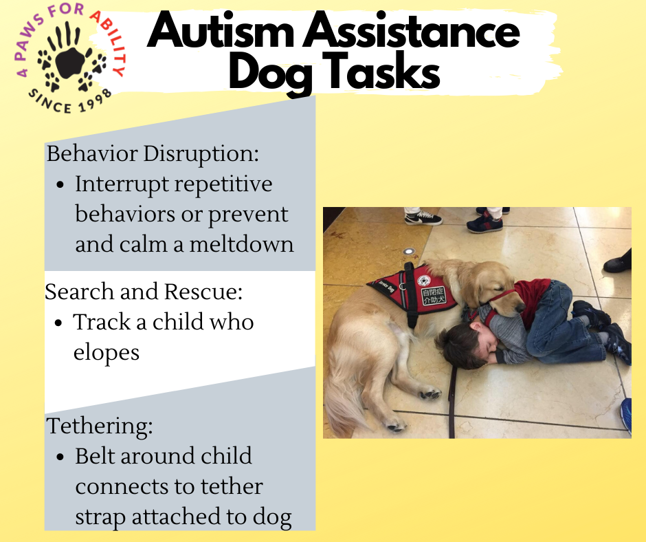 Other Words For Assistance Dog